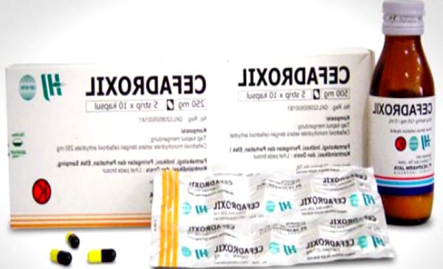 cefadrox 500 mg tablet uses in hindi
